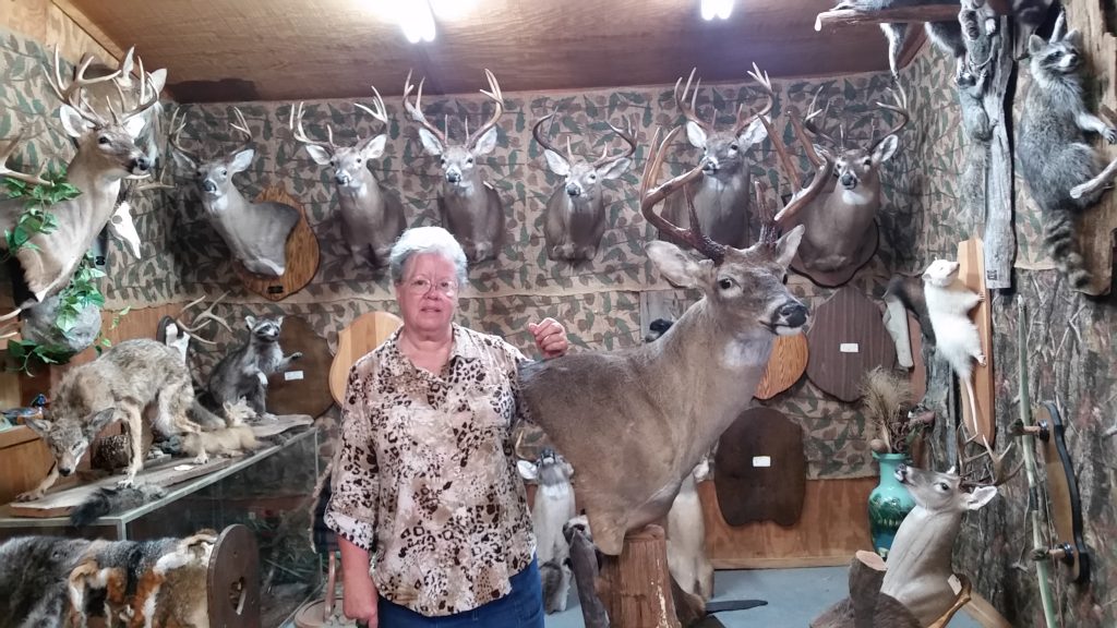 Deer mounted in the showroom