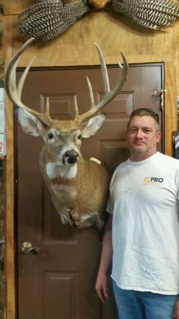 Mounted Deer - 8 points